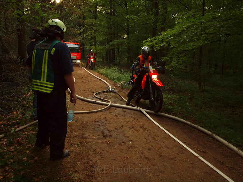 Waldbrand Bergisch Gladbach Bensberg P141.JPG